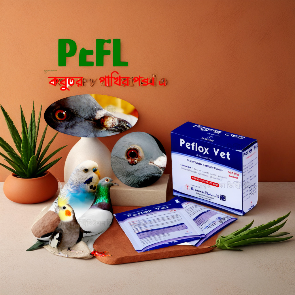 Product packshot