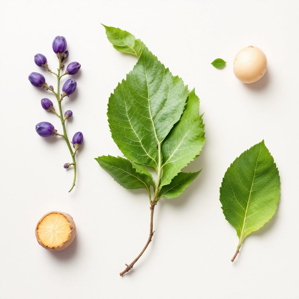 Vitamina B6