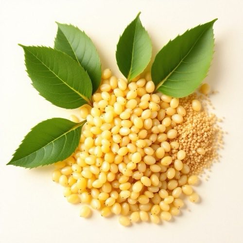 Aceite de jojoba
