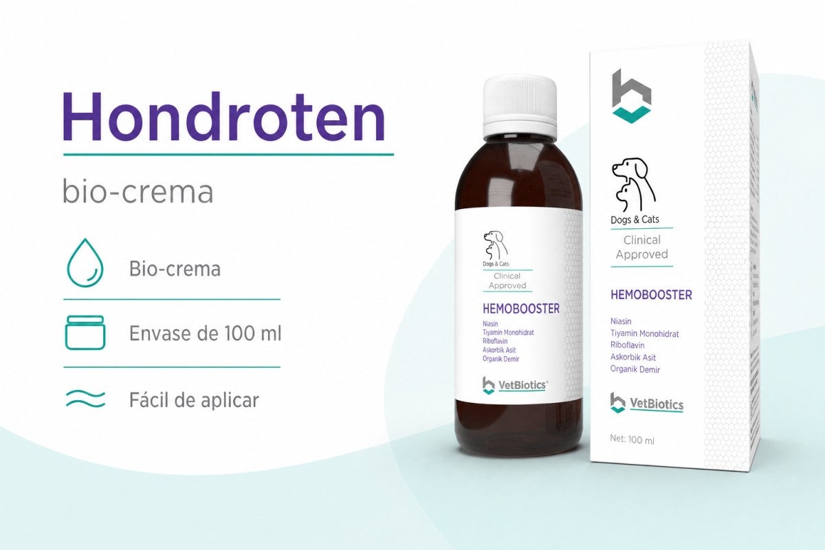 Hondroten
