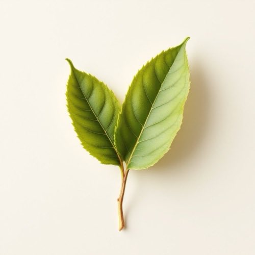 L-arginina