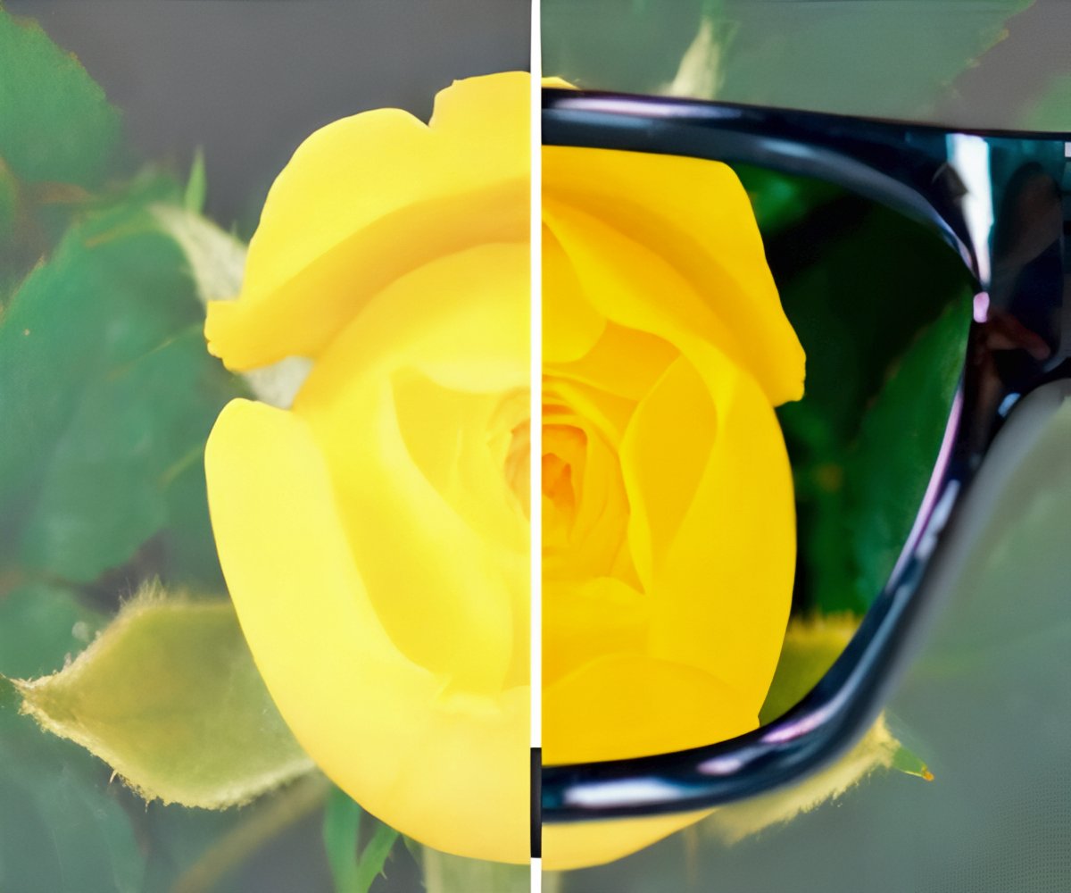 Polaryte Photochromic a 39,99€ packshot