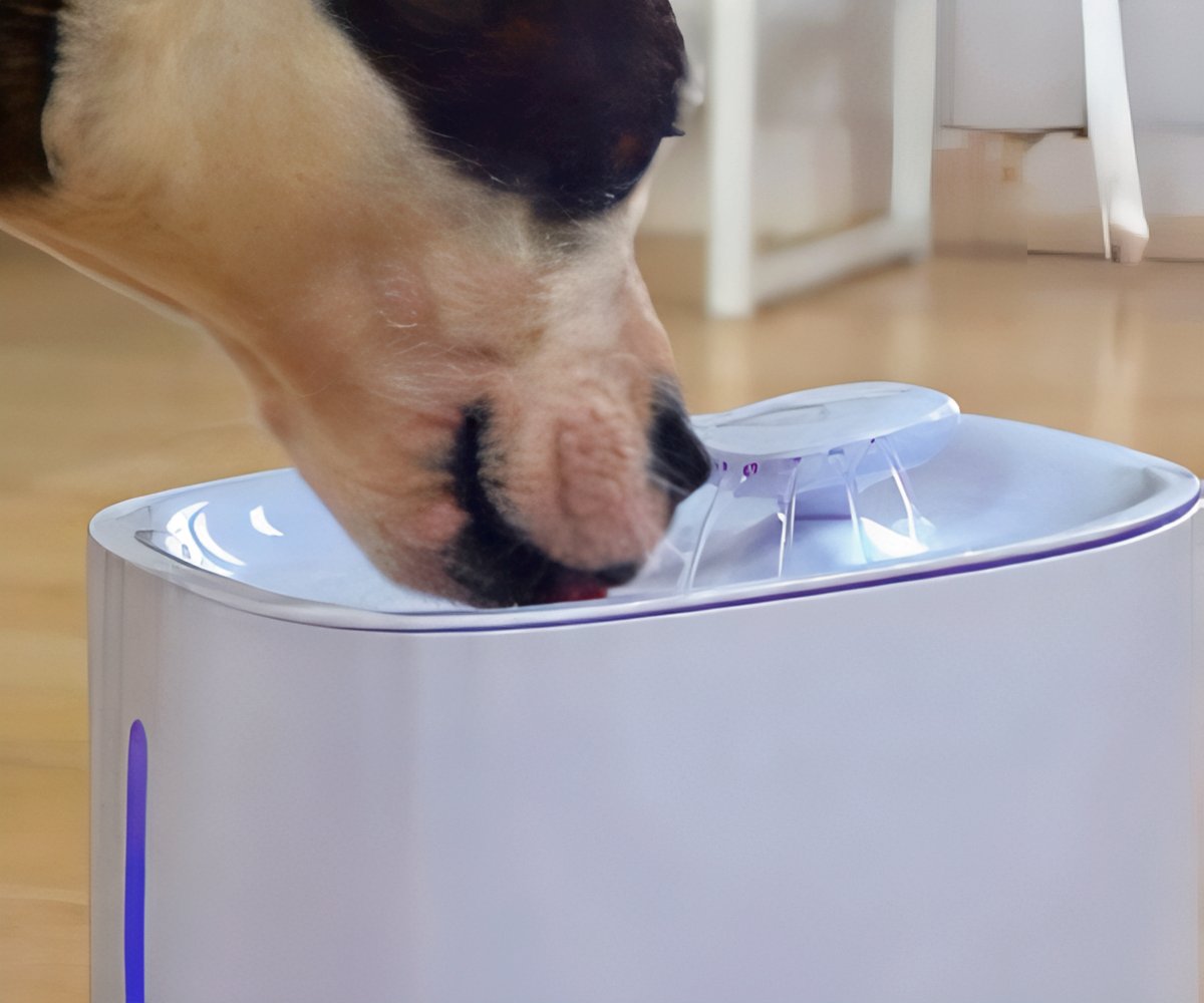 Starlyf Pet Fountain a 49,99€ packshot