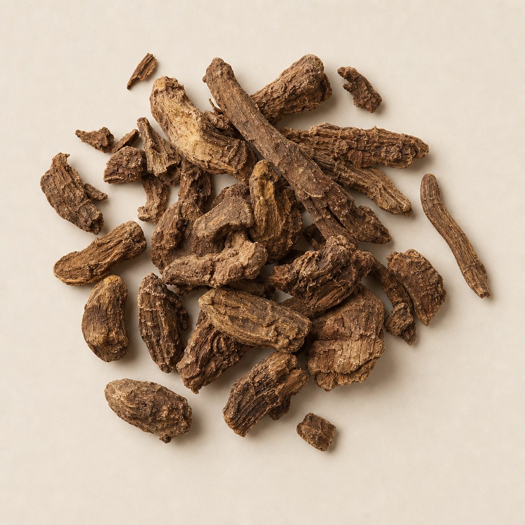 Radici e rametto fiorito di Rhodiola rosea su sfondo chiaro neutro.