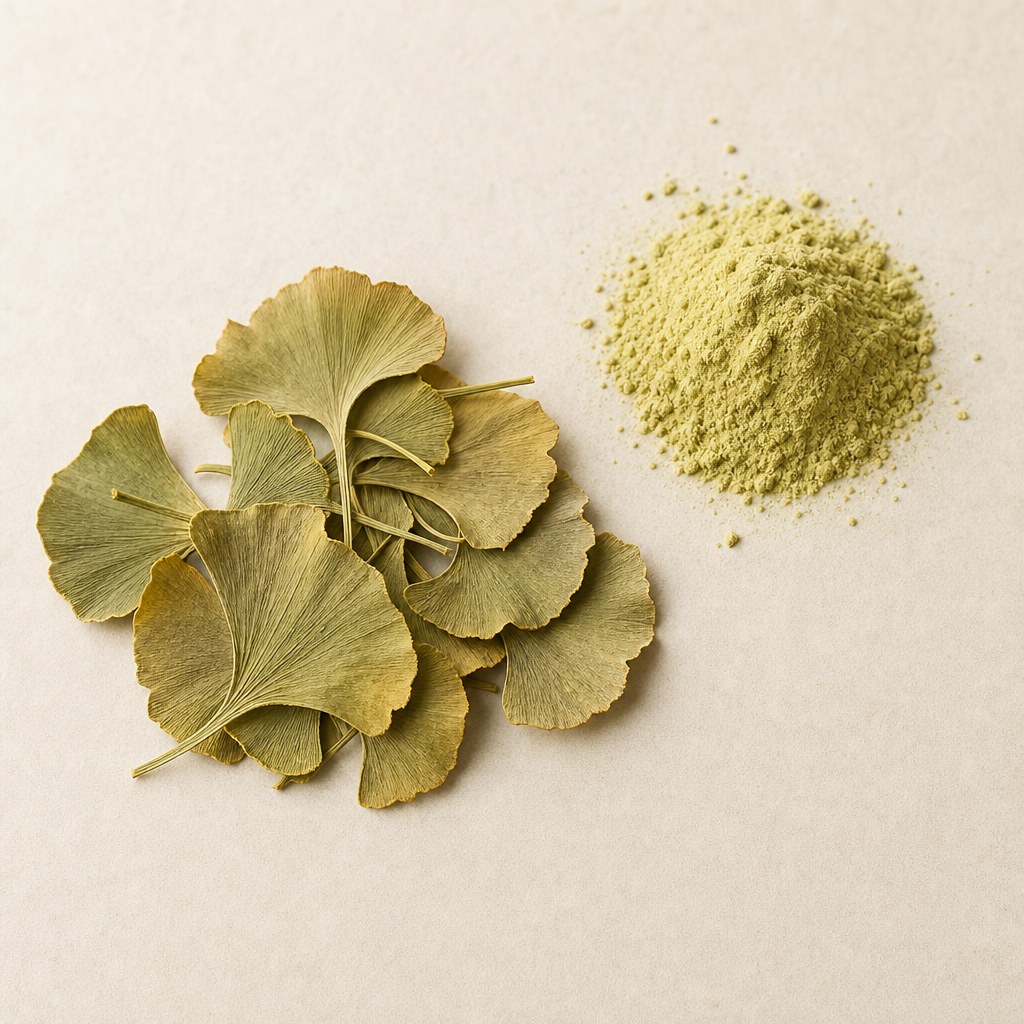 Ginkgo biloba levelek és kivonatpor semleges háttéren.