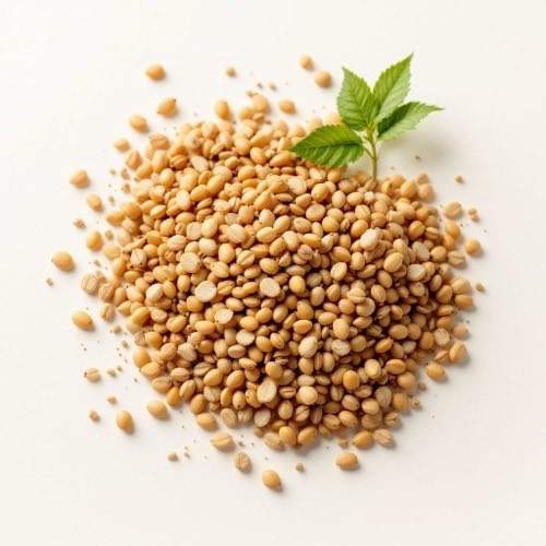 Glucozamină