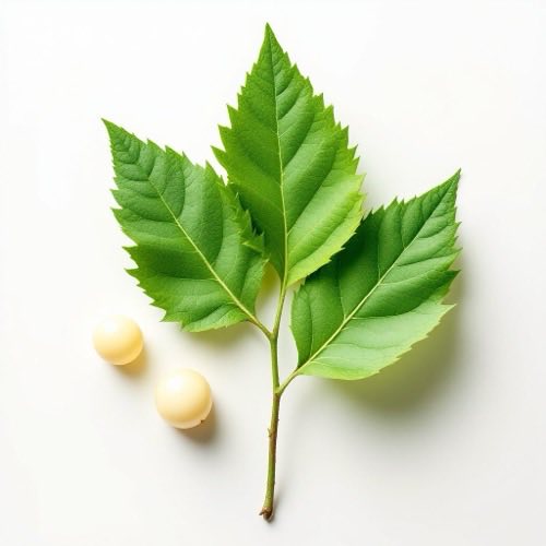Vitamina B12