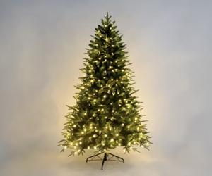 Christmas Tree a 355 LEU packshot