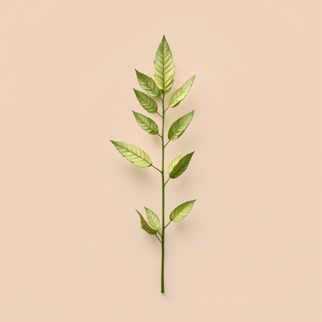 Glucozamină