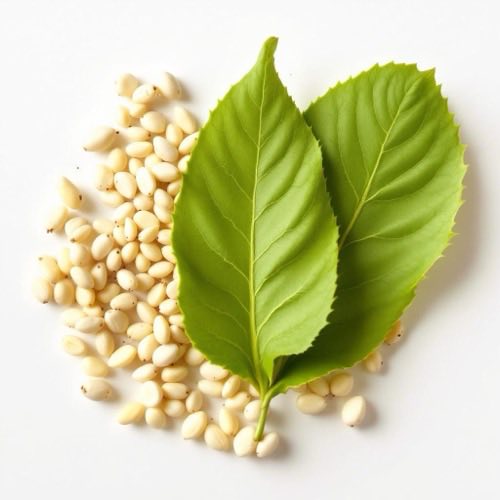L-carnitină
