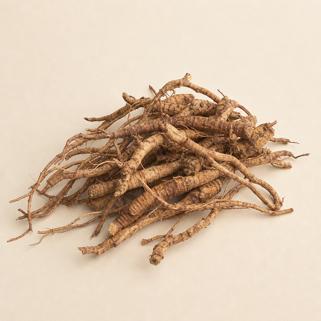Rădăcini de Coleus forskohlii pentru extract vegetal.
