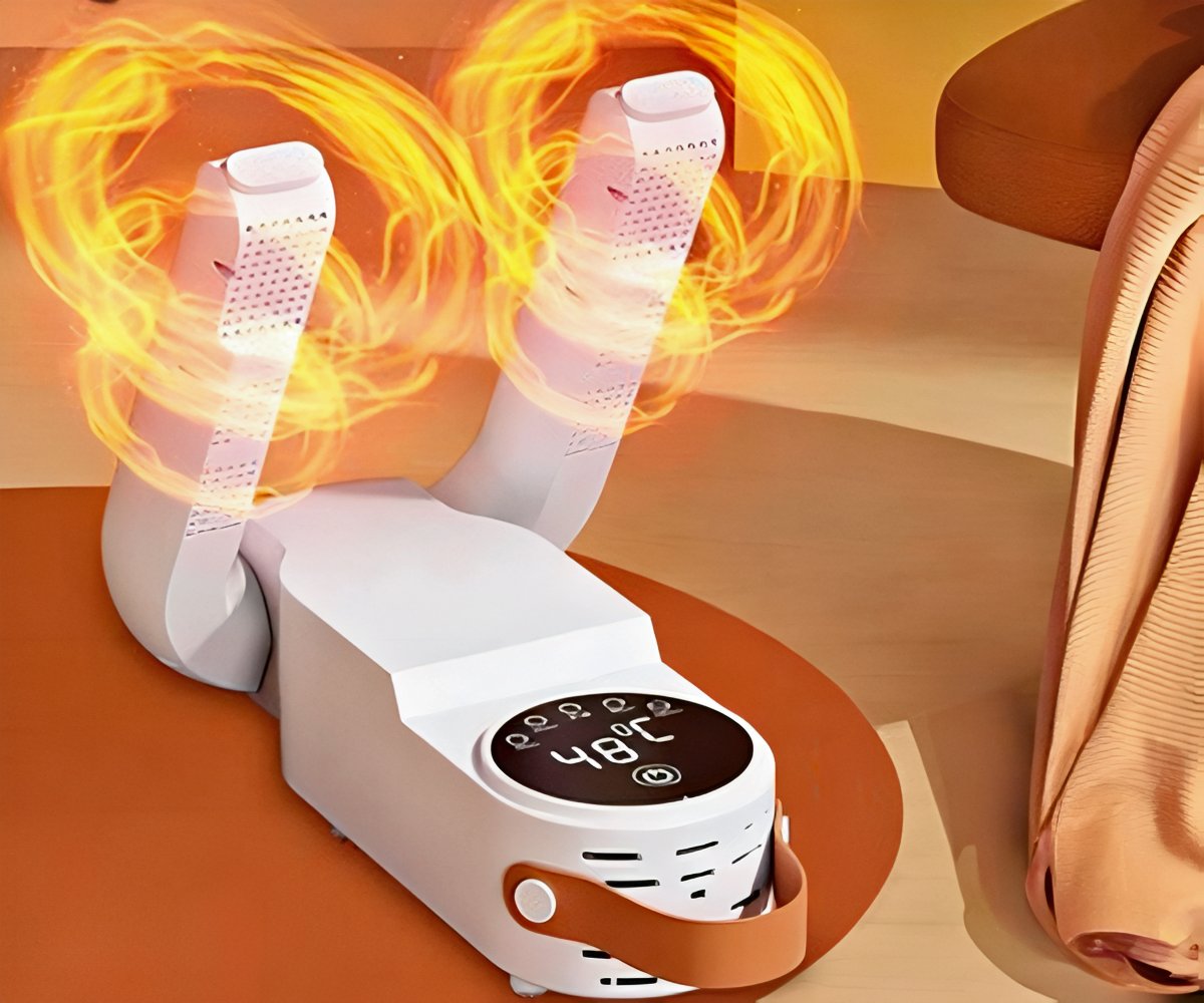 Shoes Dryer Pro a 248 LEU packshot