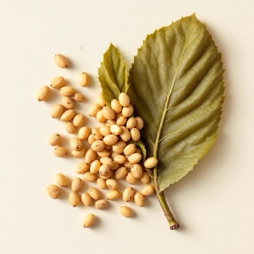 Vitamin E – antioksidans