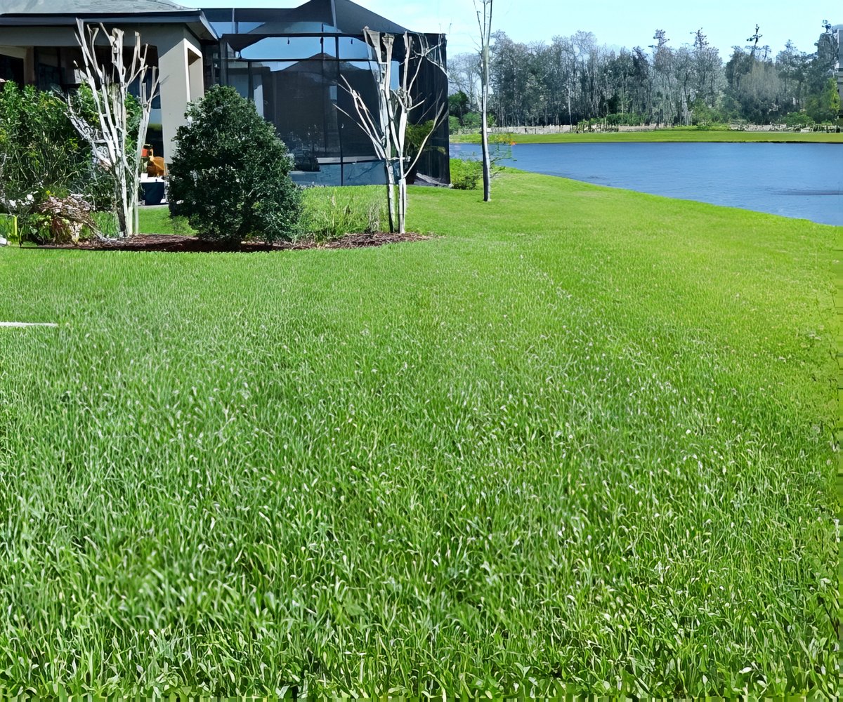 Grass Seed Mat a 59,99€ packshot