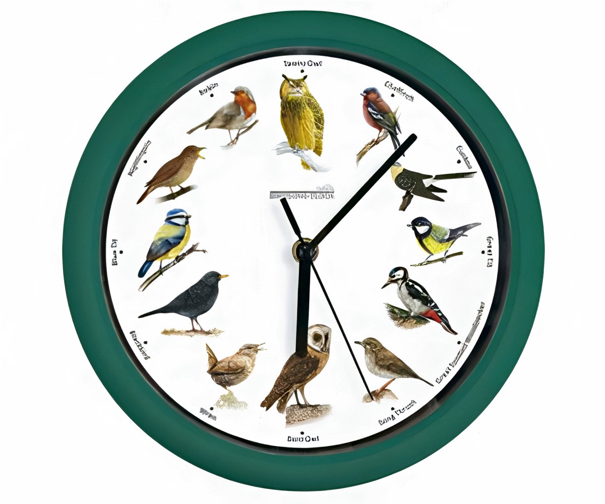 Birdsong Clock  a 39,99€ packshot