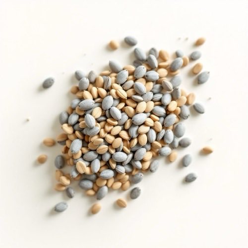 L-Arginine