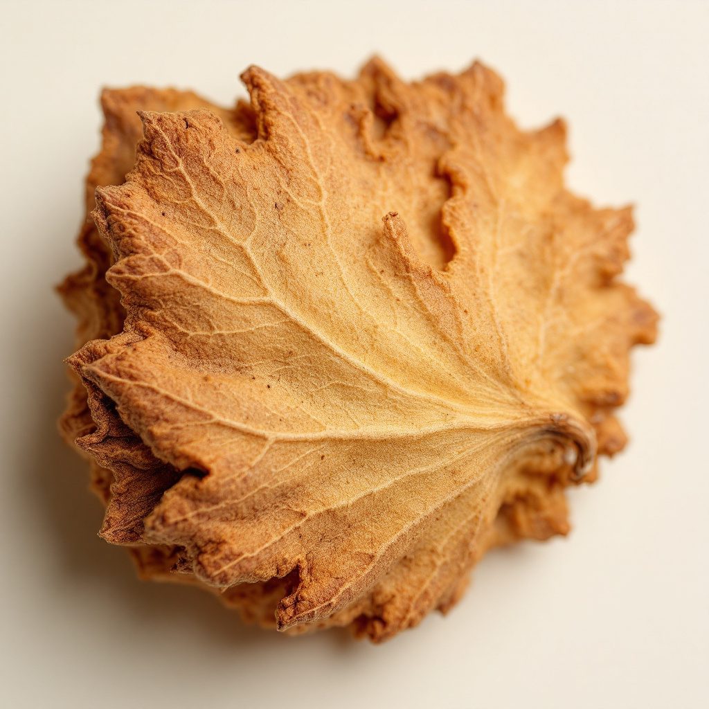 Pumpurų gluosnis (Pygeum africanum) žievė