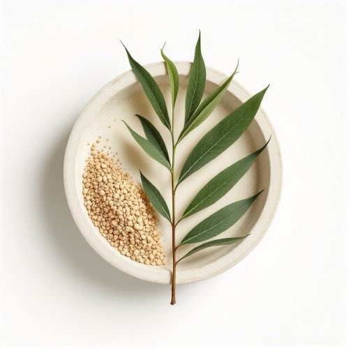 Ekstrakt palme sabal