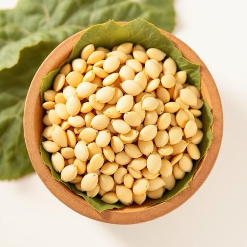 Pumpkin Seed - fara kungulli të hapura