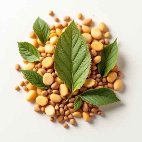 Vitamina dhe minerale