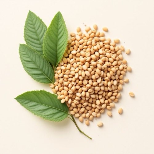 Extracto de avena