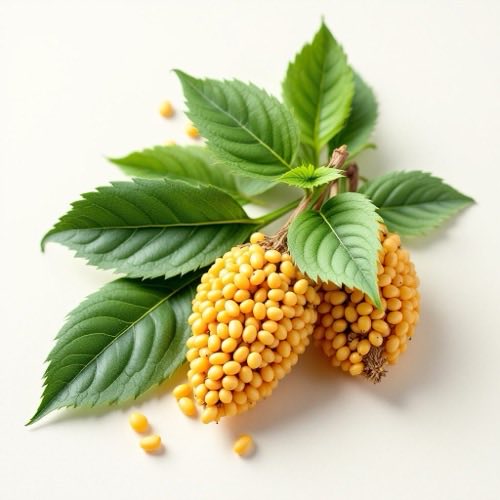 Arginin