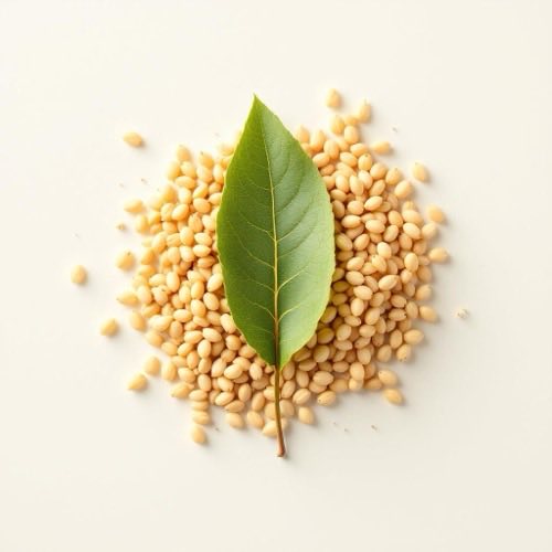 Chondroitin – natürliches Molekül aus Knorpelgewebe