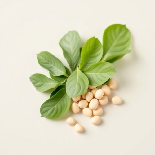 Glucosamin als natürlicher Bestandteil