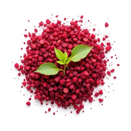 Himbeere