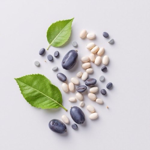 Melatonin