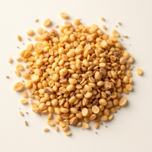 Nelkenknospe
