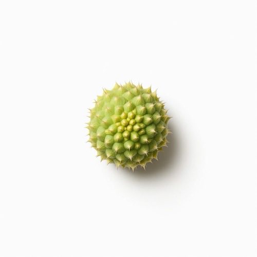 Tribulus terrestris Zutat