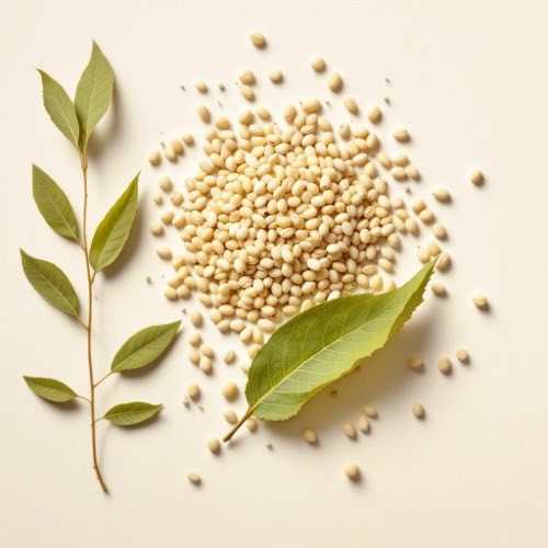 Vitamin B1 Tabletten