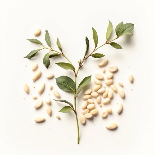 Allantoin ekstrakt