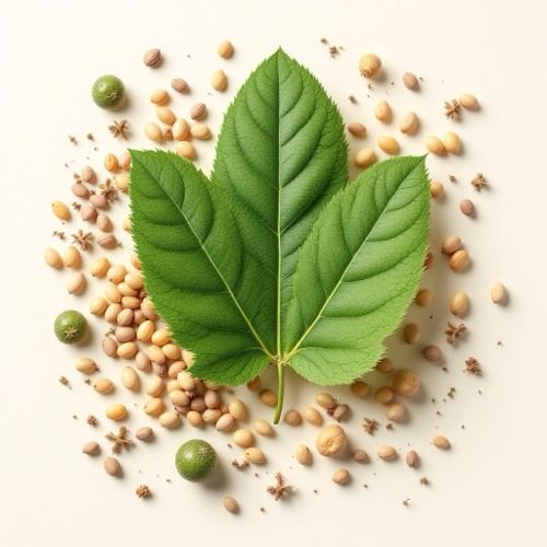 Vitamini za kosu