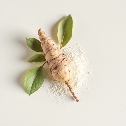 Extract van paardenbloem