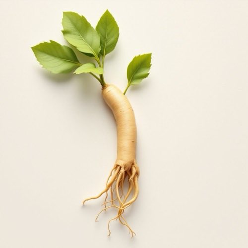 Ginseng ingrediënt