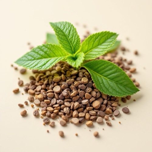 Menthol kristallen uit pepermunt