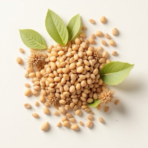 Salie extract