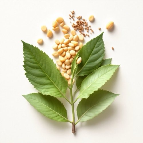 Vitamine B6 bron