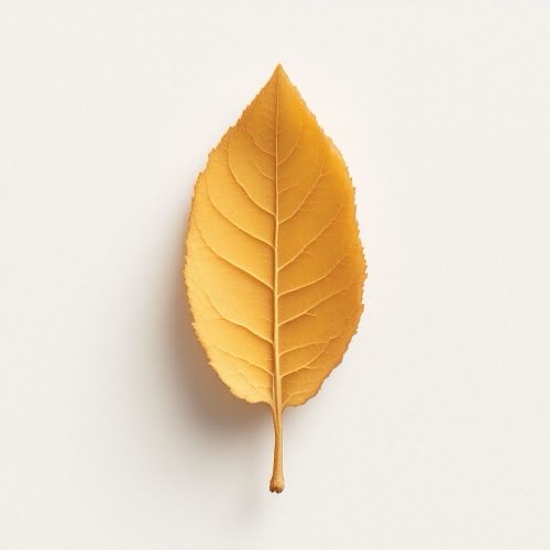 Vitamine E