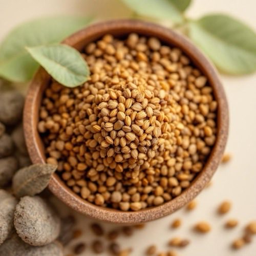 Kollagen Protein Struktur