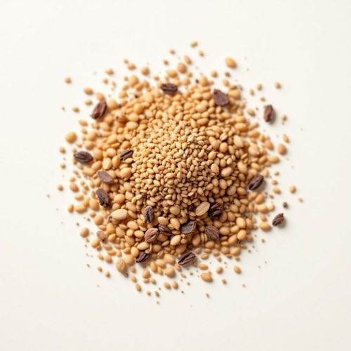 Fibres alimentaires