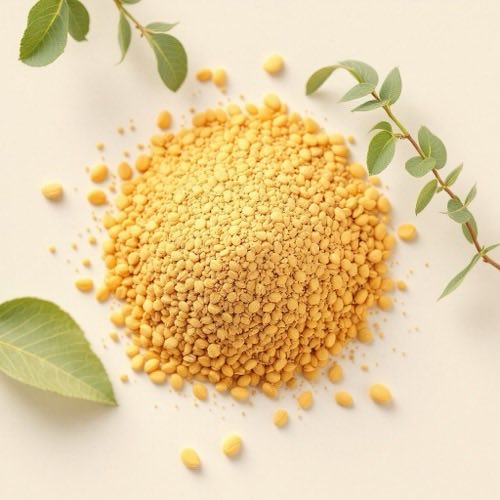 Extracto de boswellia