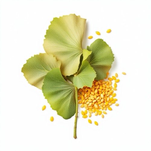 Extracto de Ginkgo biloba
