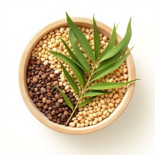 Extracto de Serenoa repens (saw palmetto)