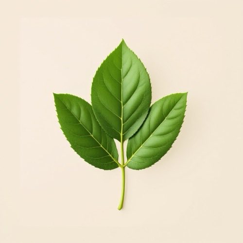 Vitamina A