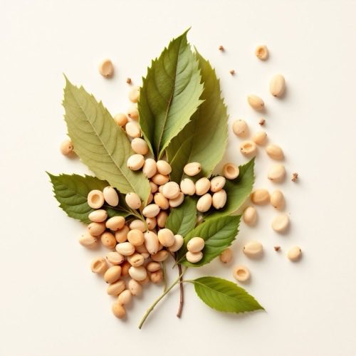 Vitaminas del grupo B