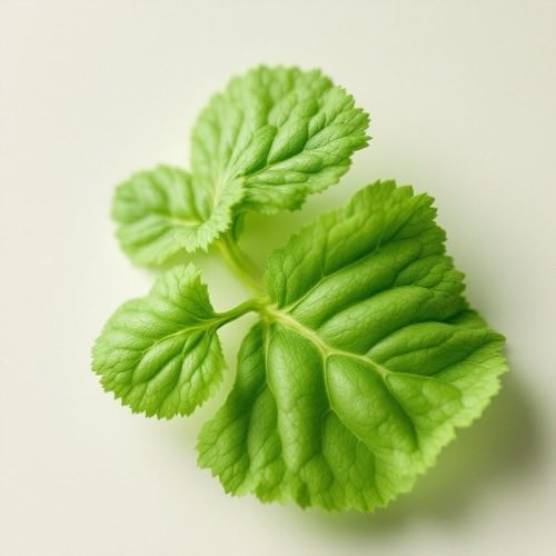 Gotu kola