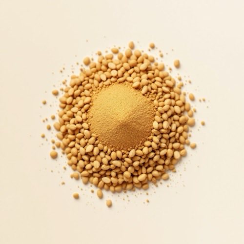 Fenugreek (Bockshornklee)